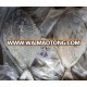 Frozen Black Pomfret Fish